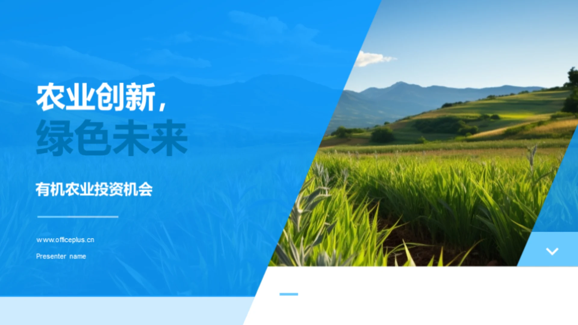 农业创新,绿色未来