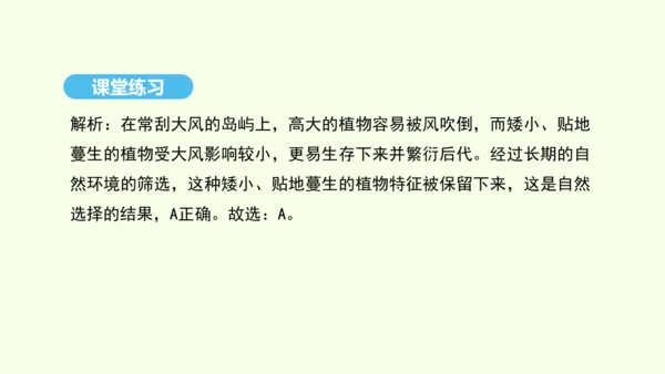 7.3.3生物进化的原因课件-人教版生物八年级下册(共37张PPT)