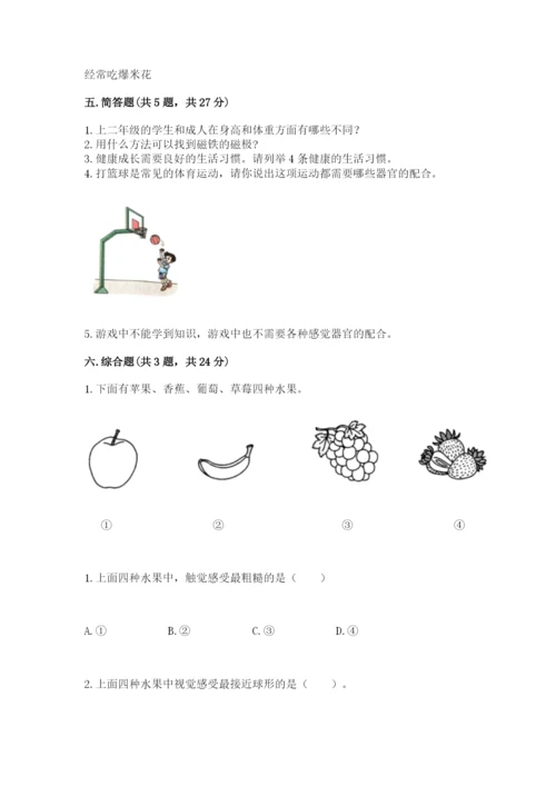 教科版二年级下册科学期末测试卷（网校专用）.docx