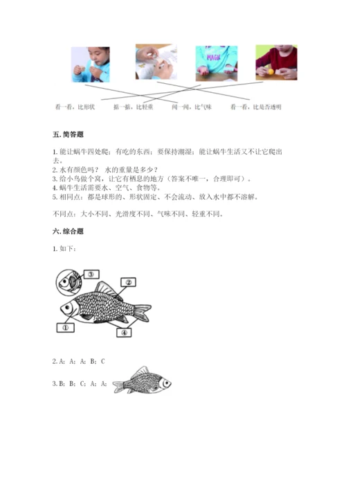 教科版一年级下册科学期末测试卷精品加答案.docx