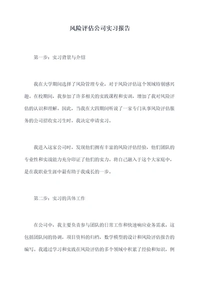 风险评估公司实习报告