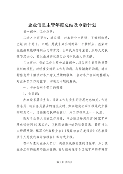 企业信息主管年度总结及今后计划.docx