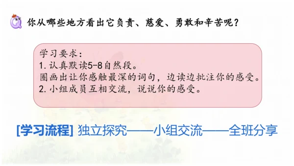 母鸡 第五稿