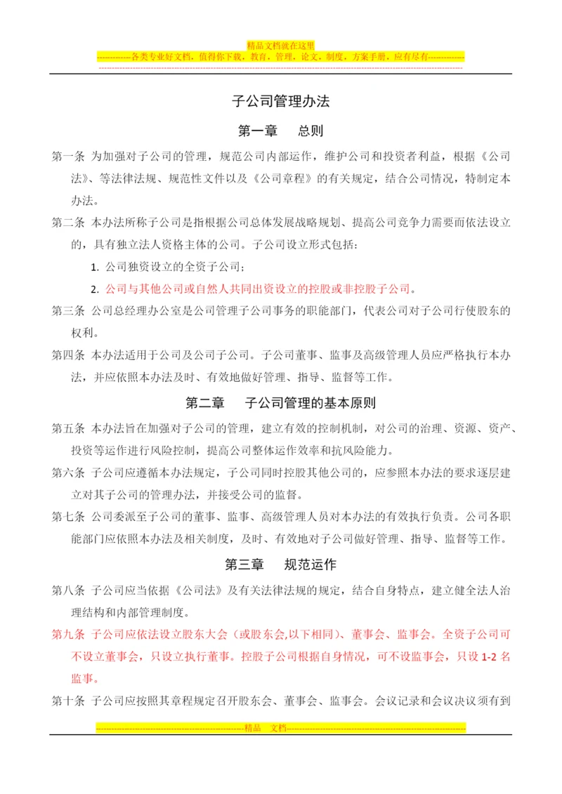 子公司管理办法.docx