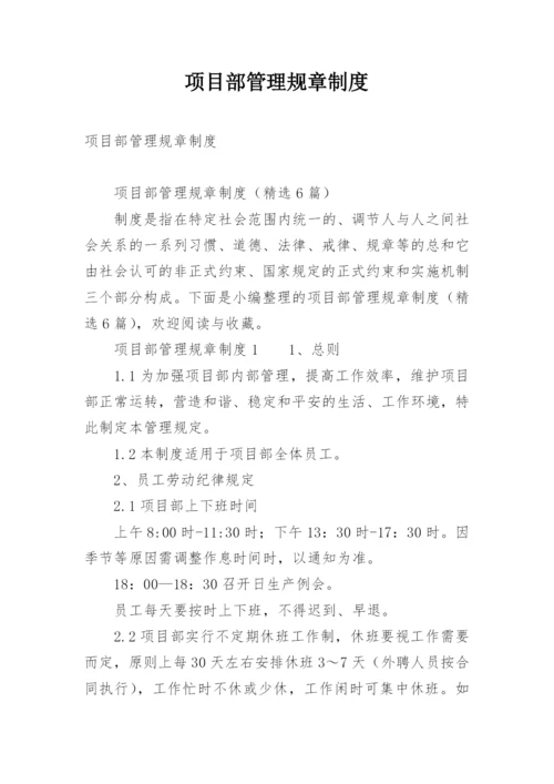 项目部管理规章制度.docx