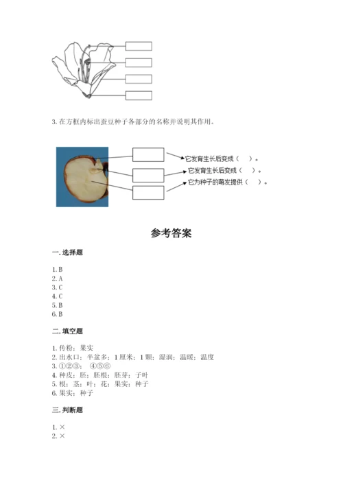 科学四年级下册第一单元植物的生长变化测试卷（典型题）.docx