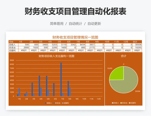 财务收支项目管理自动化报表