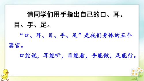 识字3 口耳目   课件