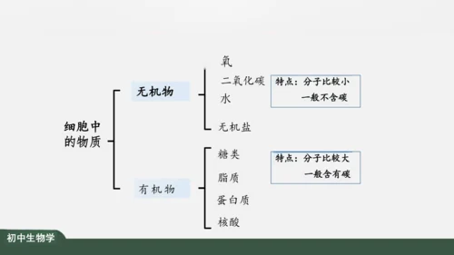 2.1.4  细胞的生活 课件（共26张PPT）