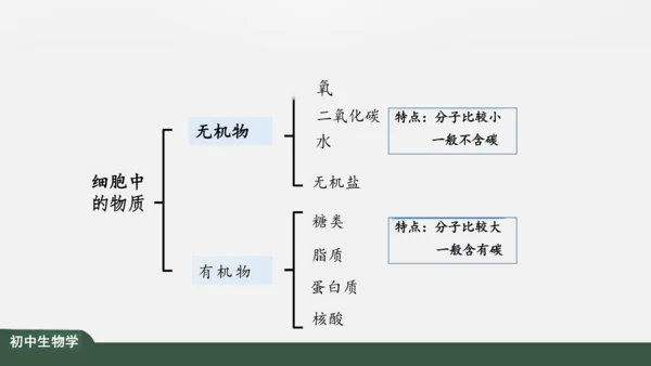 2.1.4  细胞的生活 课件（共26张PPT）