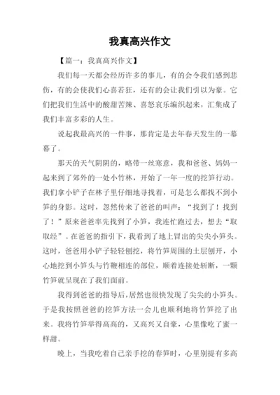 我真高兴作文.docx
