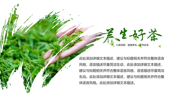 清新绿茶茶文化采茶茶道茶艺茶文化PPT模板