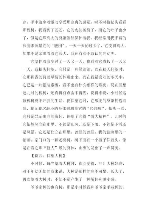 仰望大树作文600字借物抒情.docx