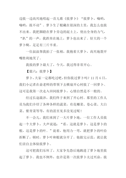拔萝卜作文0.docx