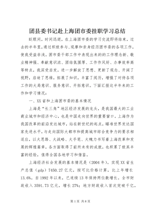 团县委书记赴上海团市委挂职学习总结.docx