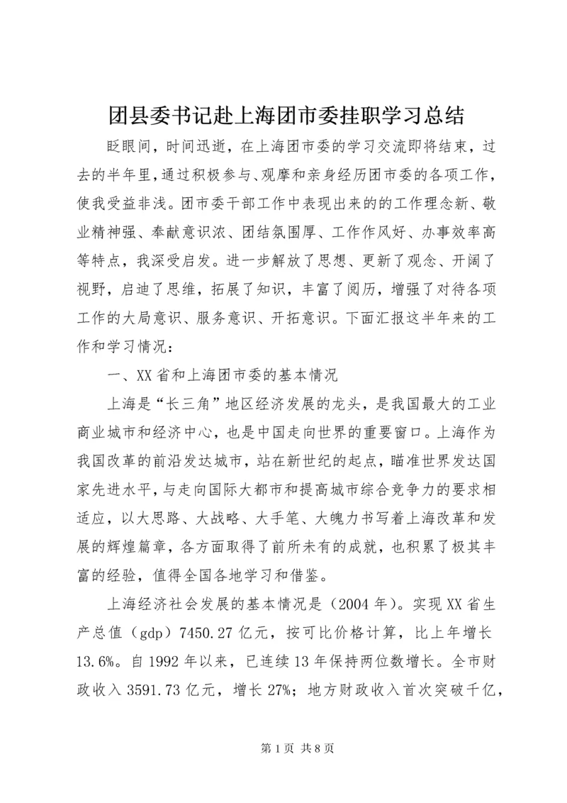 团县委书记赴上海团市委挂职学习总结.docx