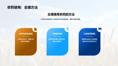 农业种植：智慧之选
