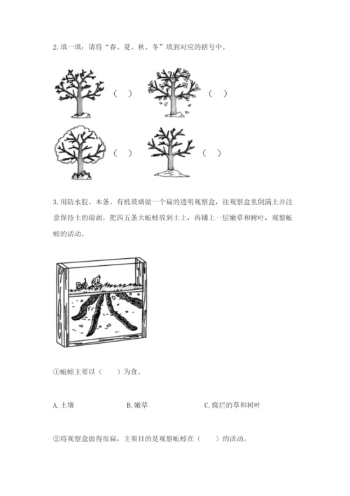 教科版小学二年级上册科学期末测试卷【学生专用】.docx