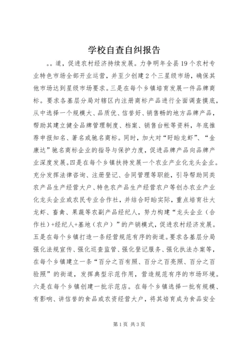 学校自查自纠报告.docx