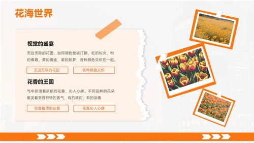 橙色创意风城市周边旅游宝藏地PPT模板
