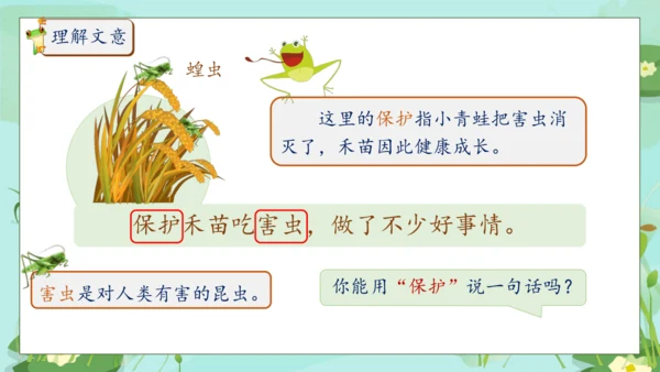 【核心素养】部编版语文一年级下册-识字3. 小青蛙 第2课时（课件）