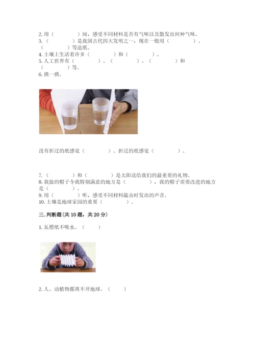 教科版二年级上册科学期末考试试卷ab卷.docx