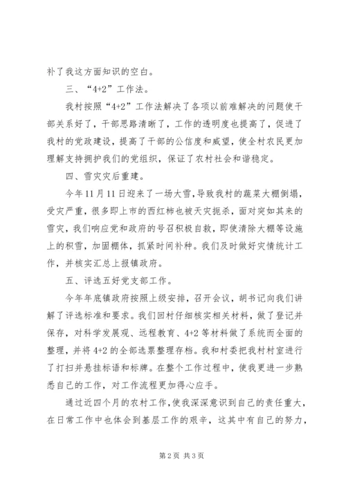 村主任助理工作总结及工作计划.docx