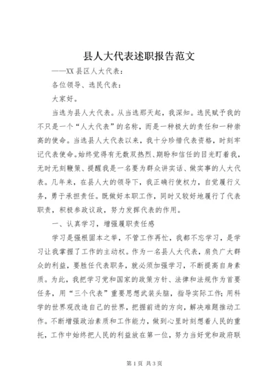 县人大代表述职报告范文.docx