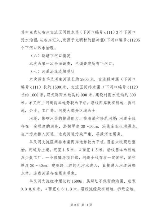 羊叉河综合方案可行性研究报告.docx