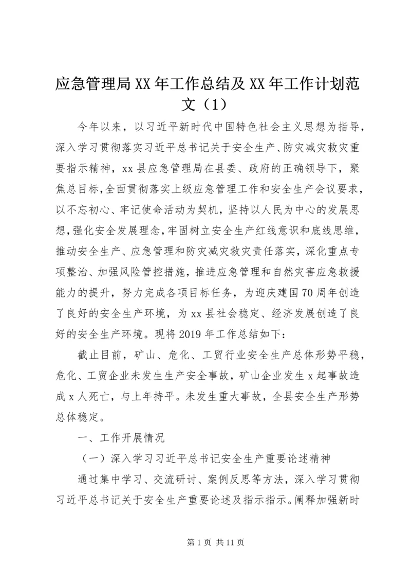 应急管理局XX年工作总结及XX年工作计划范文（1）.docx