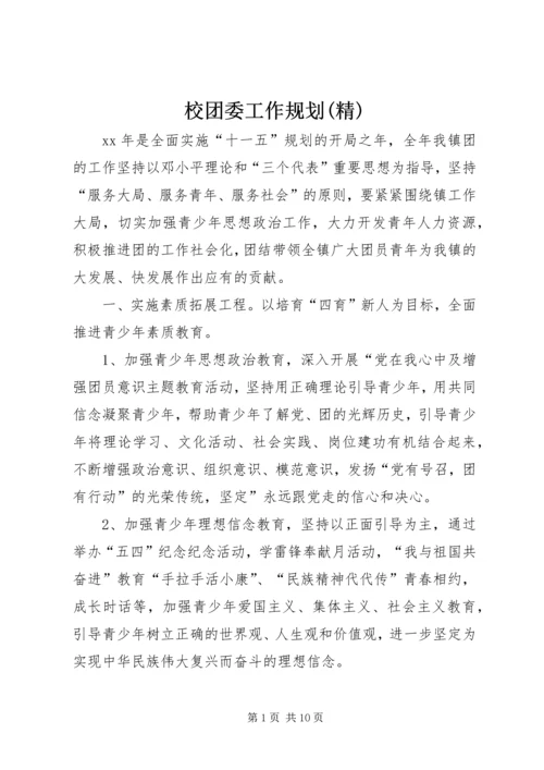 校团委工作规划(精) (2).docx