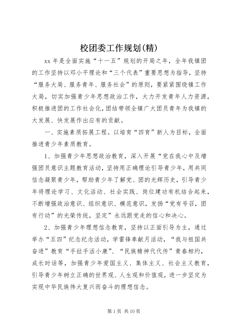 校团委工作规划(精) (2).docx