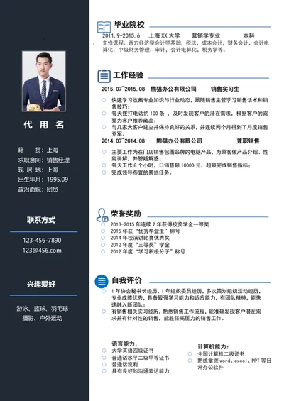 简约风销售经理个人简历模板word简历