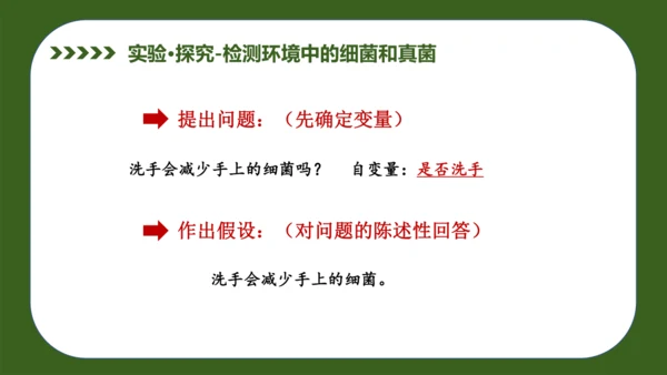 人教版生物七年级上册2.3.1《微生物的分布》（教学课件）(共37张PPT)+视频素材