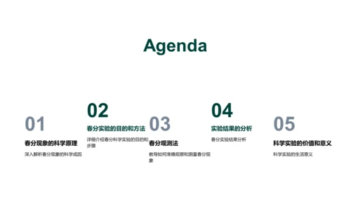 春分科学实验探究