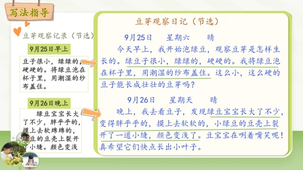 统编版2024-2025学年语文四年级上册第三单元习作 观察日记-（教学课件）