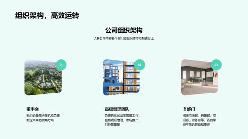 公司发展盘点与展望