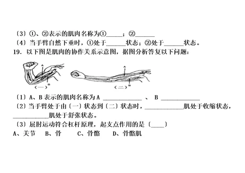 【精选】第一节动物的运动复习题