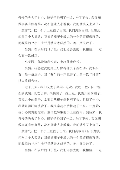 姥姥家的小菜园作文.docx