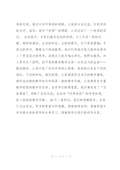 省级骨干教师培训跟岗学习总结报告.docx