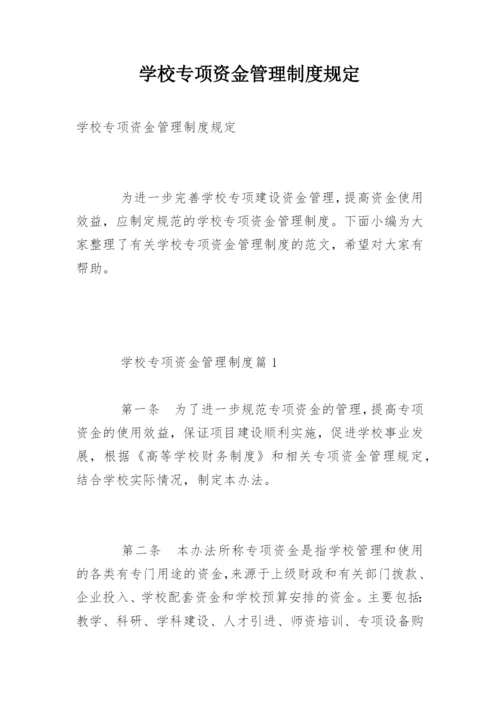 学校专项资金管理制度规定.docx