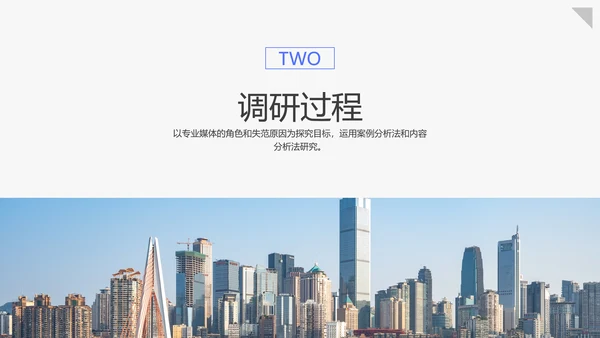 蓝色简约风大学生调研报告PPT模板
