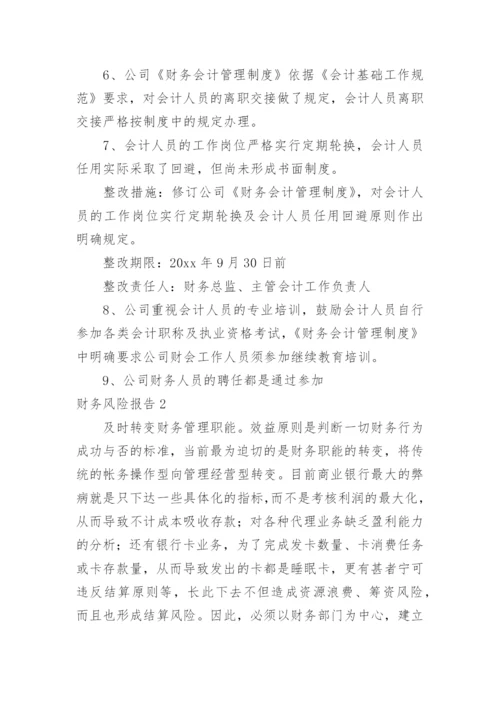 财务风险报告.docx