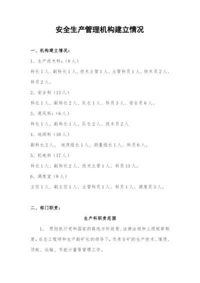 安全生产管理机构建立情况.docx
