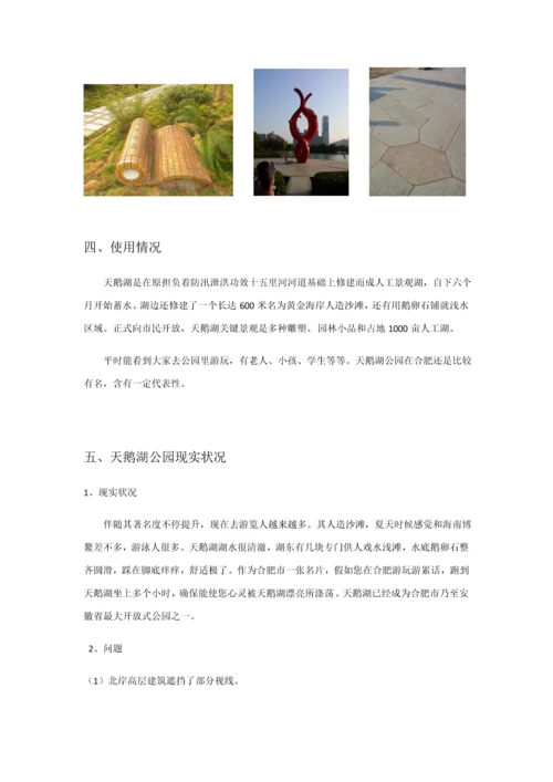 合肥市天鹅湖公园调研研究报告.docx