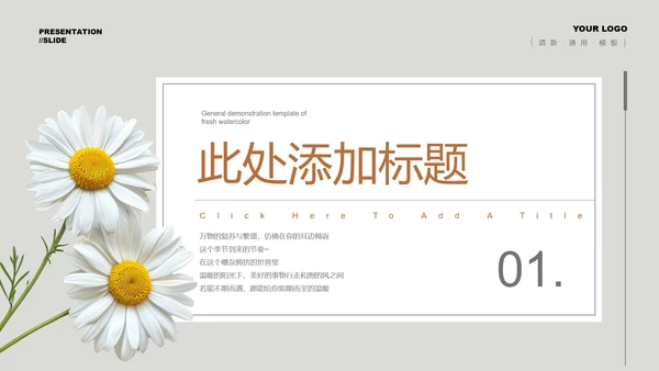 灰色小清新风雏菊总结汇报通用PPT演示模板