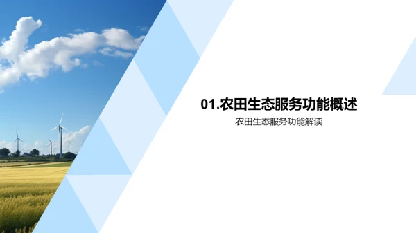 农田生态服务全解析