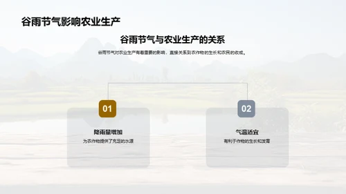 深度解析谷雨节气