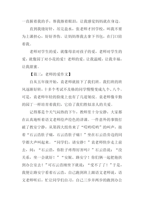 老师的爱小学作文.docx