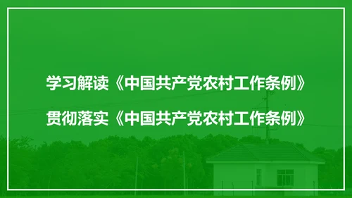 学习解读中国共产党农村工作条例PPT模板